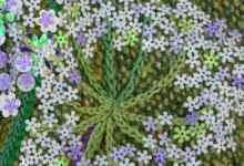 Green Umbels