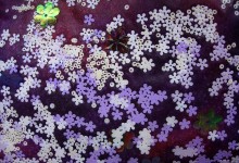 Purple Sequin experiment