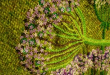 Green Umbel With Darker Shade