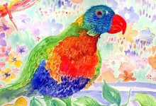 Cards and Prints to Buy