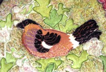 bullfinches apple detail11 220x150 Galleries